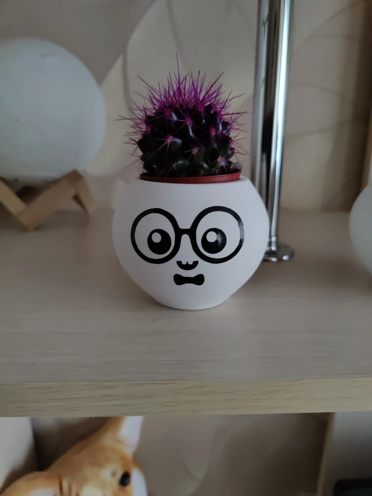 Декор интерьера — Дворец Мастеров